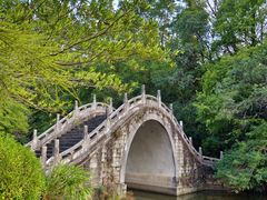 -深圳仙湖植物园