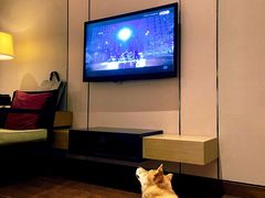 -上海崇明金茂凯悦酒店