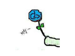 -乐清中升星辉奔驰4S店(乐成市区店)