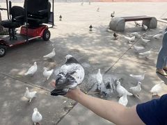 -大同方特欢乐世界