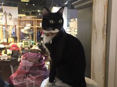 -小时光咖啡馆(开森度假森林店)