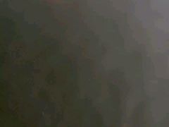 -普陀山风景名胜区-法雨禅寺