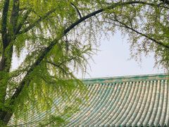 -恭王府博物馆