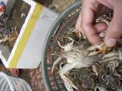 -东戴河风景区-止锚湾