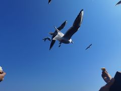 -滇池海埂公园