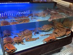 -阿伟海鲜楼·福建菜(延寿店)