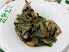 麻辣小章鱼-袁记云饺(西安路店)