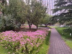 -天幕新彩云国际影城(激光巨幕店)