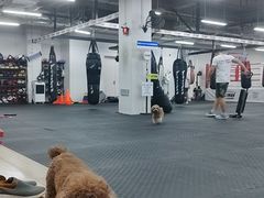 -FIGHTMAN格斗俱乐部(长宁临空店)