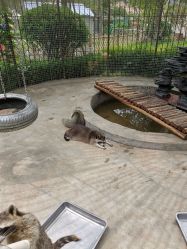 -萌宠亲子动物乐园(槐房万达店)