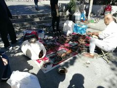-哈尔滨道外花鸟鱼市场