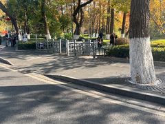 -北极阁公园