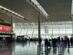 -合肥新桥国际机场-航站楼