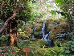 -Chom Cafe and Restaurant
