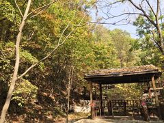 -天女山森林公园