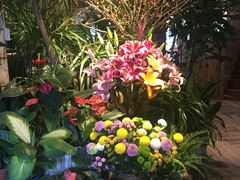 -春暖花开(西溪店)