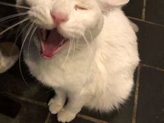 -张记牛肉面馆(天津路店)