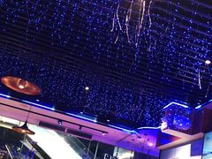 -千岛蚝高压锅生蚝·人参火锅(白云万达店)