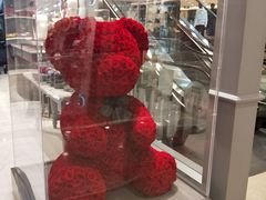 -ROSEONLY诺誓(国际广场购物中心店)