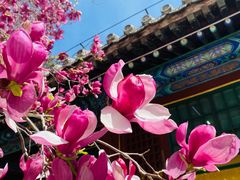 -潭柘寺景区