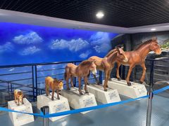 -吉林省自然博物馆