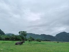 -罗坑大草原