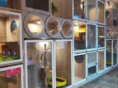 -zoonana室内动物园(东方福来德店)