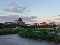 -莲花池公园