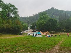 -南宁良凤江国家森林公园