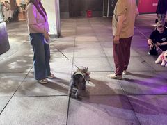 -瑞虹新天地月亮湾
