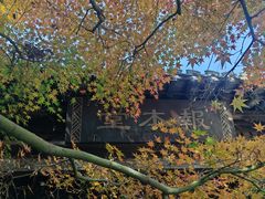 -惠山古镇·寄畅园