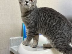 -安安宠医·臻爱宠物医院·宠保定点(营门口路分院)