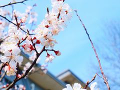 -江南大学(蠡湖校区)