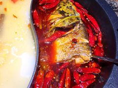 -销魂美蛙鱼头火锅(上海首店)