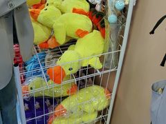 -天使宠物医院·犬猫分诊(彩虹店)