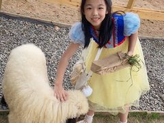 -HERRE·FARM 赫尔露营农场·团建聚会包场