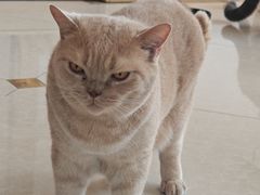 -Catmate·猫肥家润(金润铂宫店)
