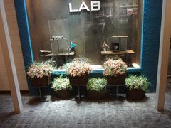 -骑鹅公社(南开大悦城店)