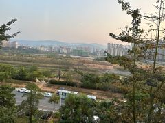 -野象谷景区