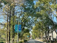 -宁波九龙湖开元度假村