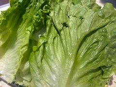 -九寨特色牦牛肉汤锅 羊肉汤锅