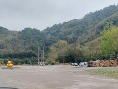 -九鲤溪瀑景区