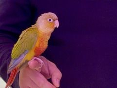 -TANGO LIVEHOUSE动感单车(巴黎春天店)