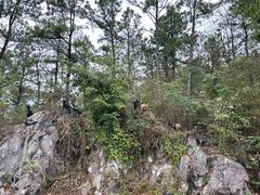 -仙岛湖旅游风景区