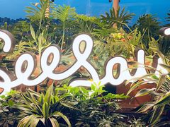 -Seesaw Coffee(朝阳大悦城店)