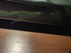 -浅深Cheersum(曹杨店)
