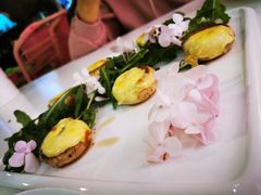 -百好乐宠物友好餐厅(朝外大街店)