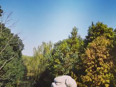 -同里国家湿地公园