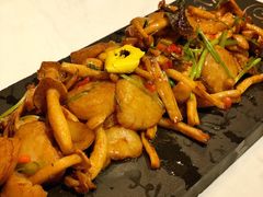 灵菇爆澳带-荟廷·晶萃(陆家嘴尚悦湾店)