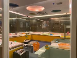 -金芙美月子中心(财富别墅店)